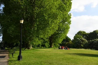 DSC_5937 (Large).JPG